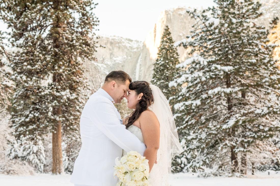 Yosemite After Wedding Session