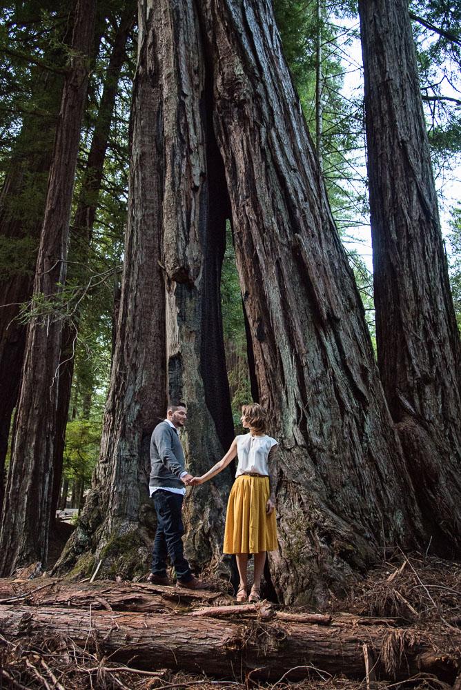 Mike & Emily - Engagement Engagement session at Big Basin Redwoods State Park