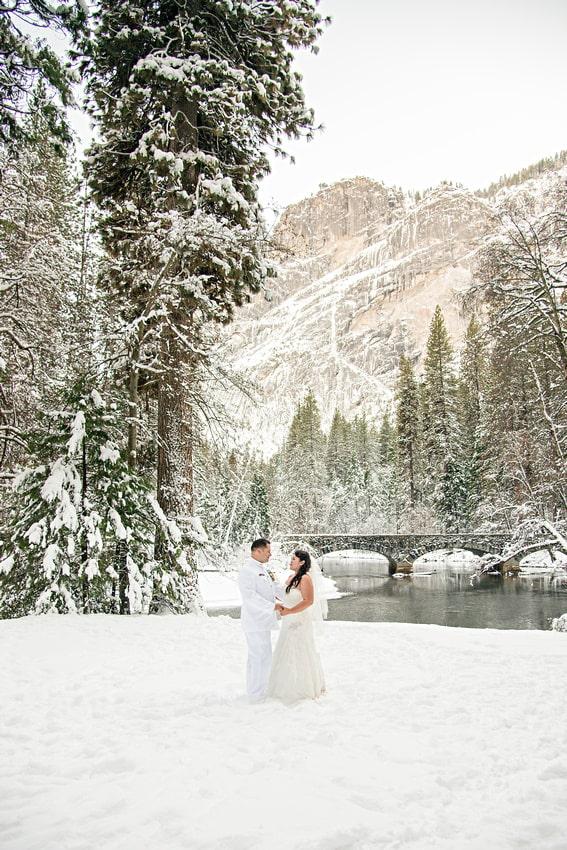 Yosemite After Wedding Session